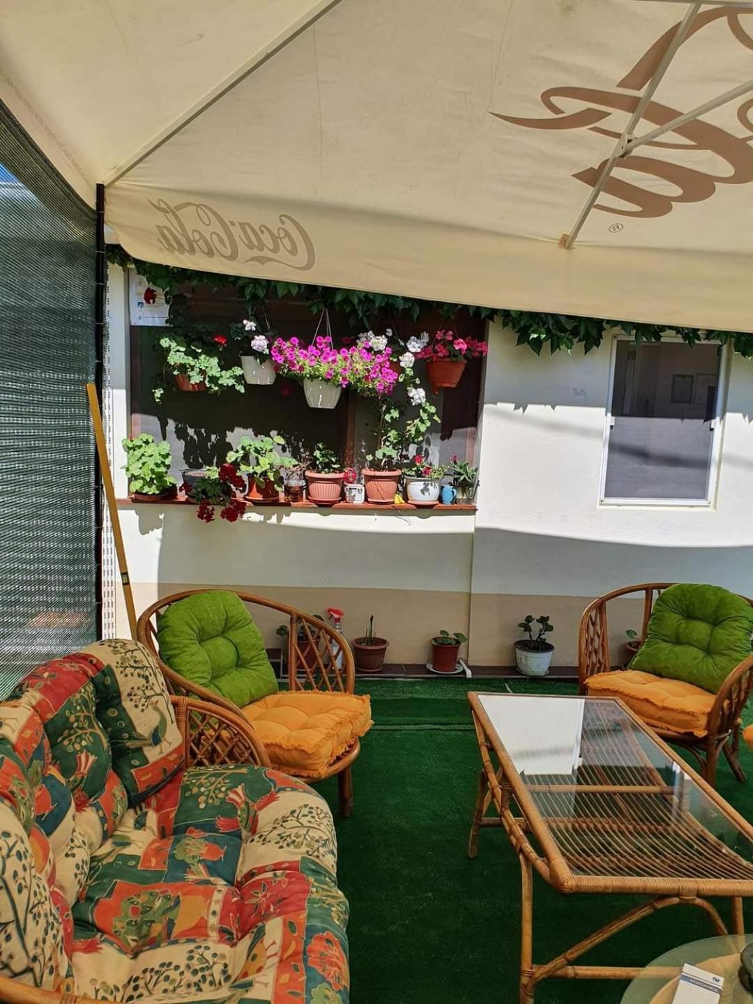Vila Robert Hotel Schitu Buitenkant foto