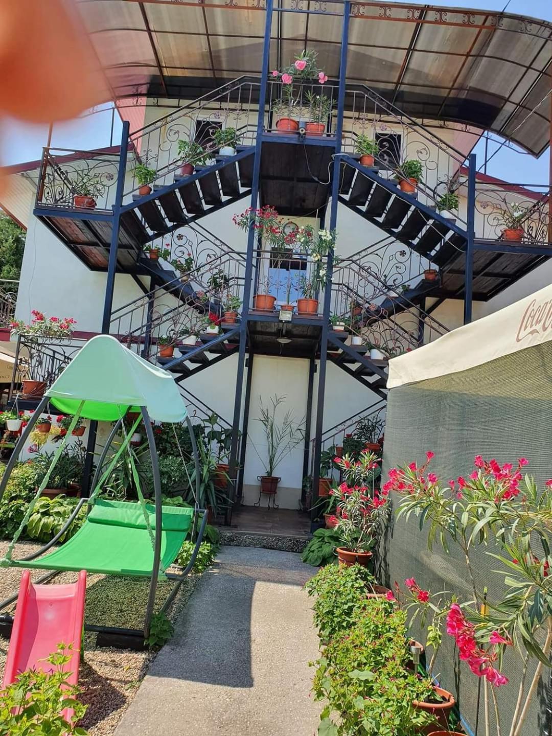 Vila Robert Hotel Schitu Buitenkant foto