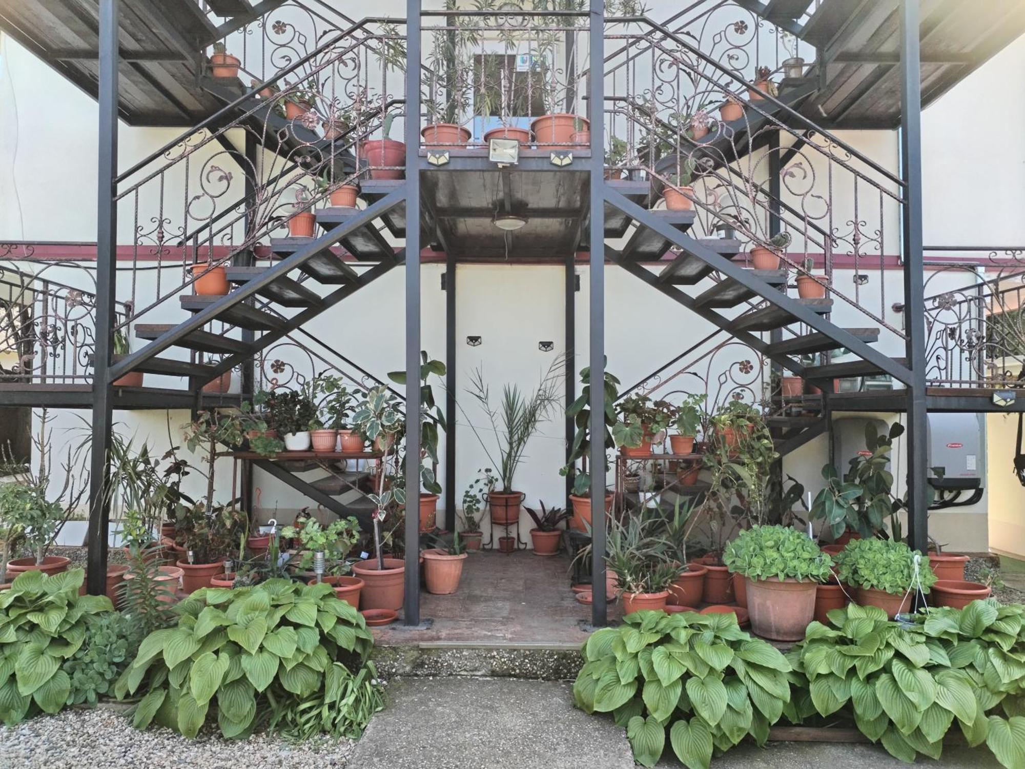 Vila Robert Hotel Schitu Buitenkant foto